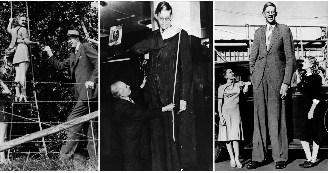 Самый высокий человек в мире за всю историю человечества рост и фото живой