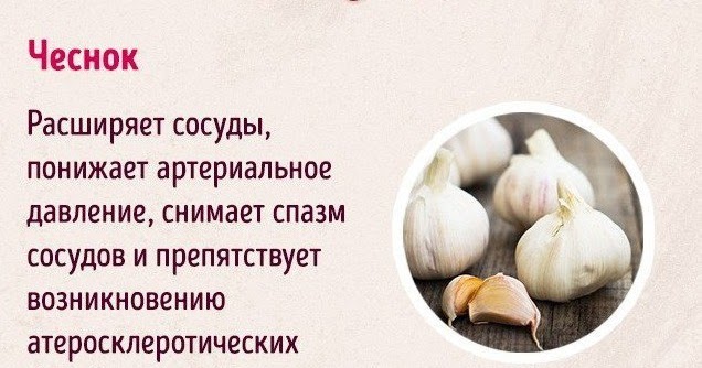 Презентация на тему чеснок