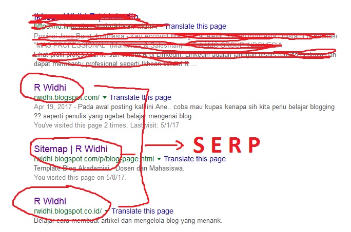 Serp. По запросу SERP что это?. SERP как узнать.