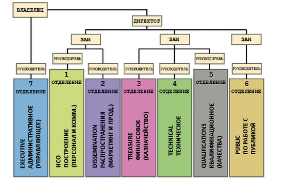 Организующая схема компании