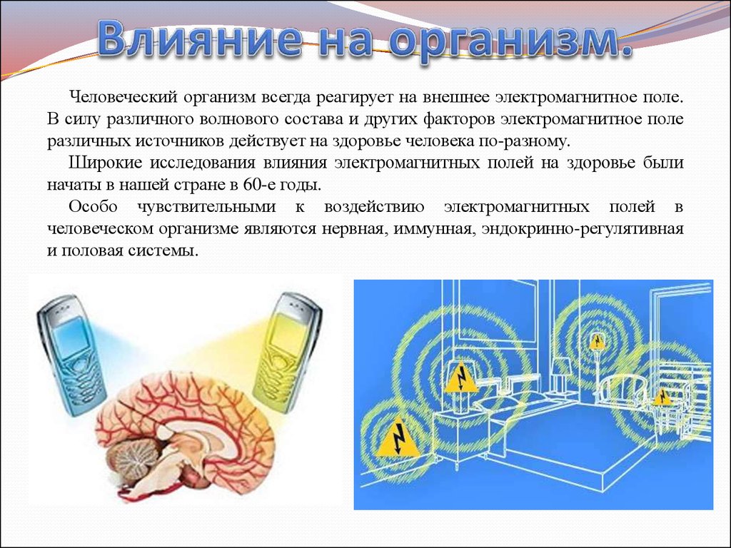 Влияние магнитного поля на организм человека проект