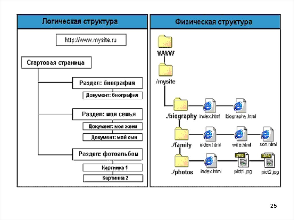 Структура сайта картинка