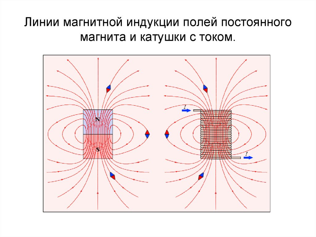 Магнитное поле тока магнитные линии. Линии магнитной индукции в магните.