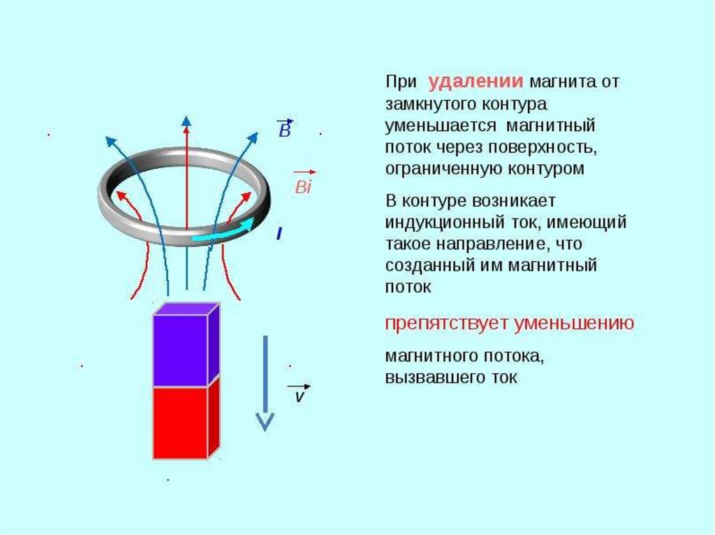 Магнитное поле магнитного круга. Электромагнитная индукция магнитный поток. Магнитный индуктор на постоянных магнитах. Направление линий магнитной индукции полюса. Правило Ленца катушка и магнит.