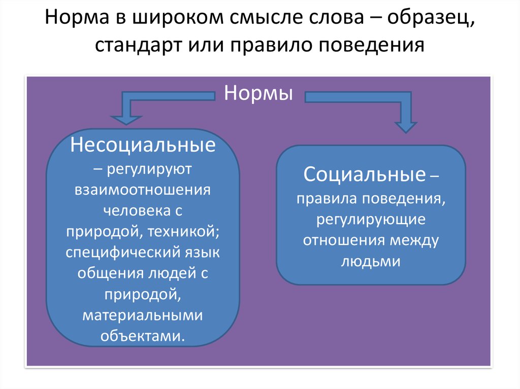 В широком смысле под. Норма в широком смысле. Социальные и несоциальные нормы. Несоциальные нормы поведения. Норма в широком смысле слова.