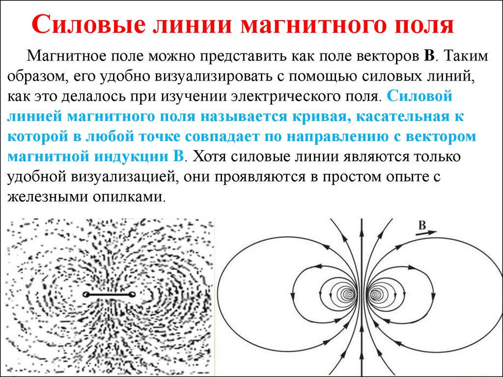 Силовые линии это графическая визуализация картина изображения силового поля