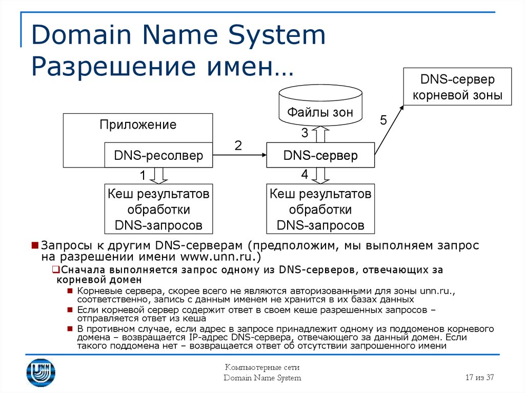 Система доменных имен. DNS служба доменных имен. Разрешение имен DNS.