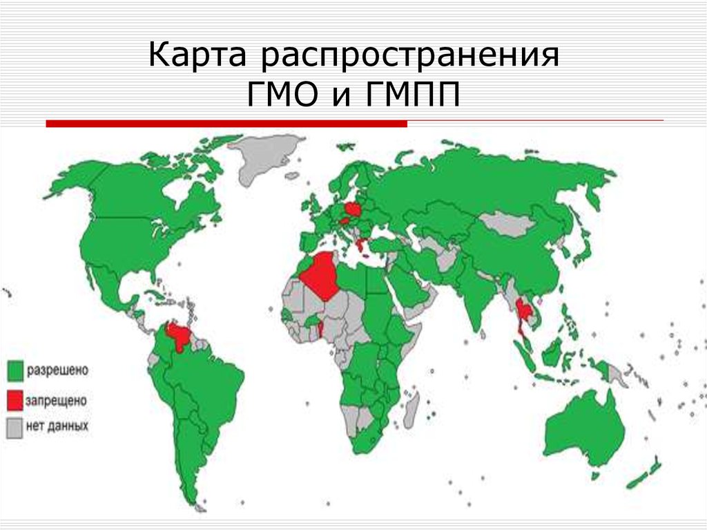 В каких странах разрешена детская