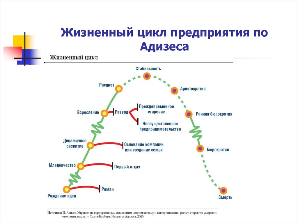 Этапы жизненного цикла организации по Адизесу. Жизненный цикл Адизеса схема.