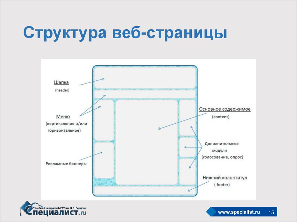 Структура веб страницы сайта