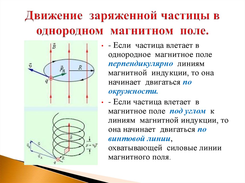 Силовые линии однородного магнитного поля направлены слева направо в плоскости рисунка предположим