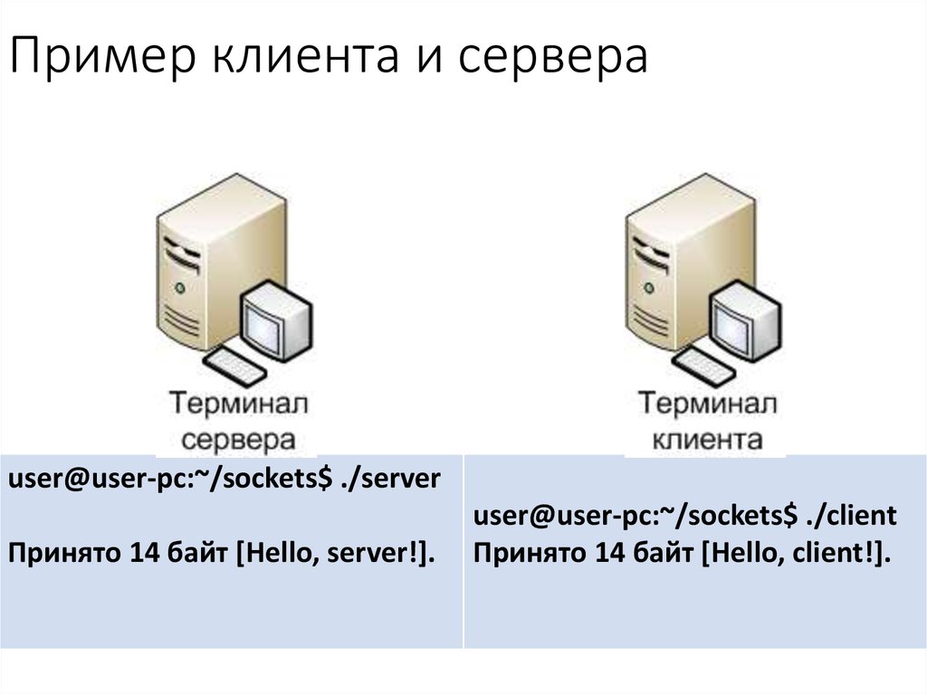 Протокол сервер файл огэ. Клиент сервер пример. Терминальный сервер. Сервер приложений картинка. Протокол сервер файл.