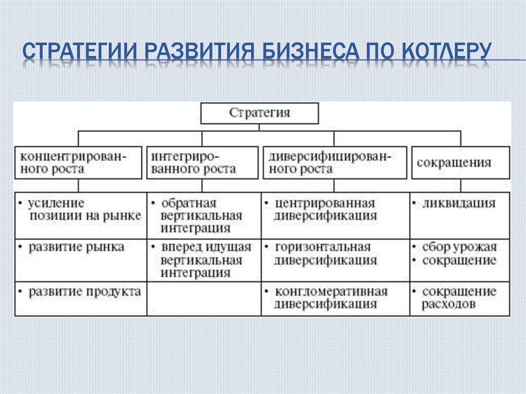 Стратегия в бизнес плане пример