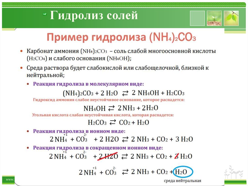 Химическую реакцию схема которой nh4 2co3 nh3 co2 h2o относят к реакциям