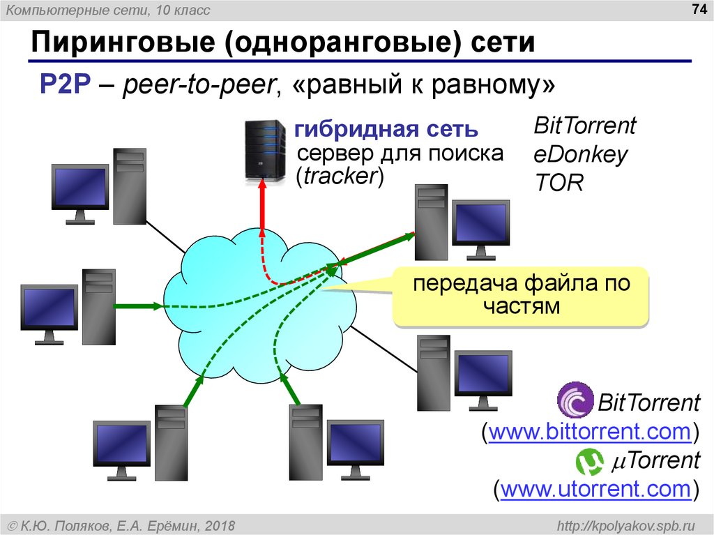 P network