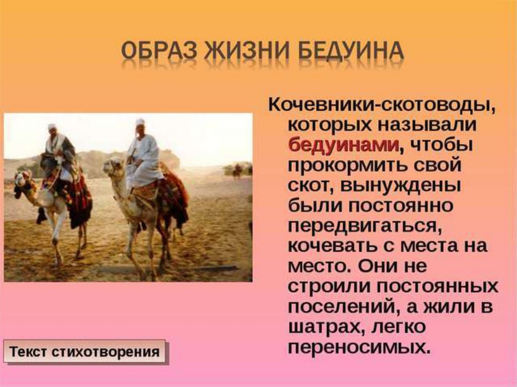 Какие есть кочевые народы