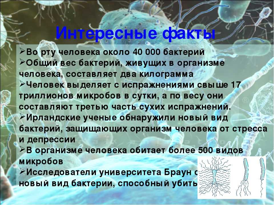 Биология письменно. Интересные факты о микробах. Интересные факты о бактериях. Удивительные факты о бактериях. Интересные факты о микроорганизмах.