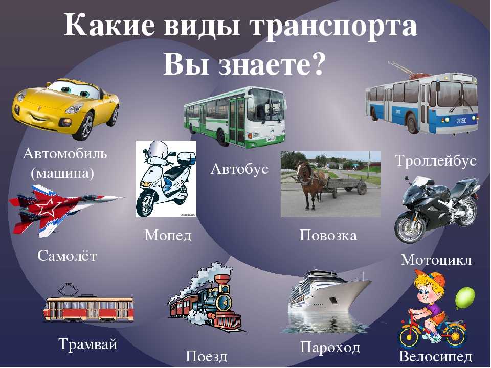 Виды транспортных. Виды транспортных средств. Транспорт виды транспортных средств. Какие есть виды транспорта. Разнообразие транспортных средств.