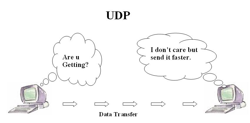 User protocol