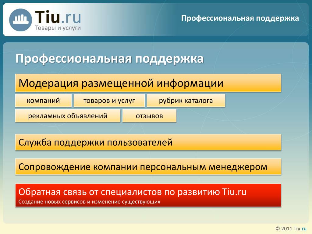 Профессиональная поддержка. Источники профессиональной поддержки. Разместить информацию о компании. Сектор пользовательского сопровождения.