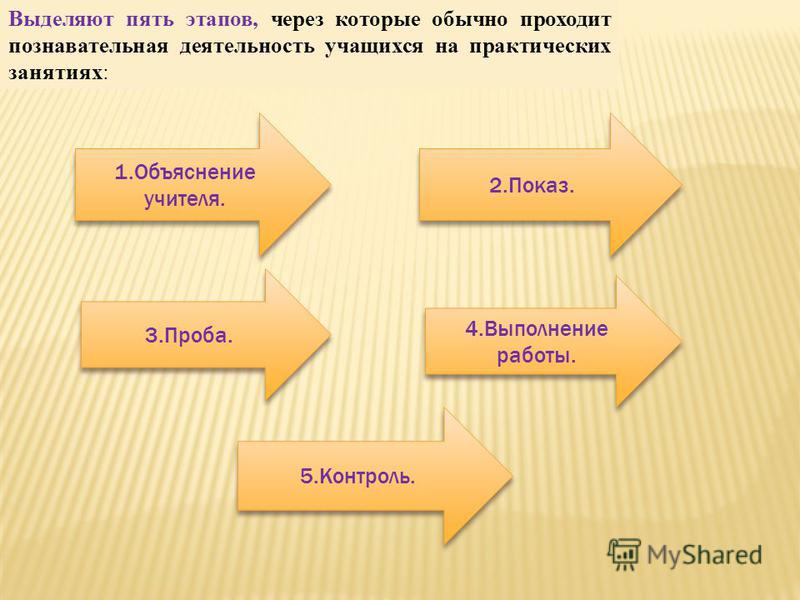 Какие стадии выделяют