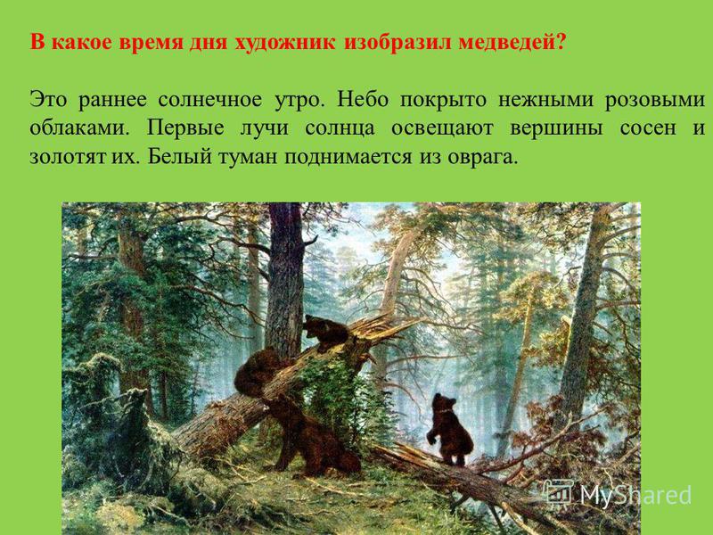 На втором плане картины. Шишкин Иван Иванович утро в Сосновом лесу описание. Утро в Сосновом лесу и.и Шишкин описание. Описание картины мишки в лесу Шишкина. Шишкин утро в Сосновом лесу 2 класс.