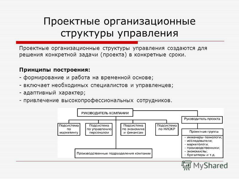 Организация в проекте это