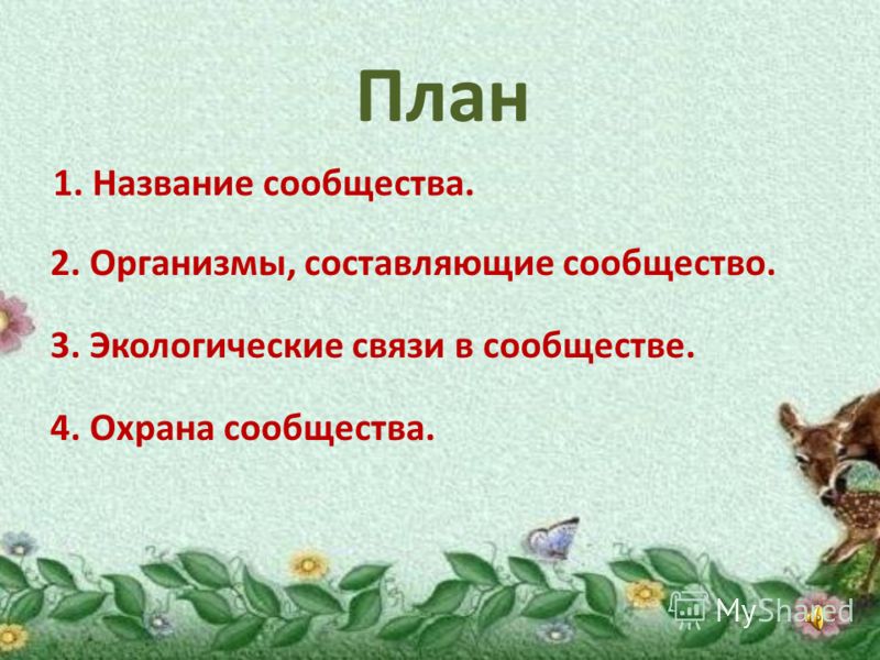 Сообщество имена. План сообщества. Назови сообщество. План изучения природного сообщества охрана сообщества. Природное сообщество название сообщества 4.