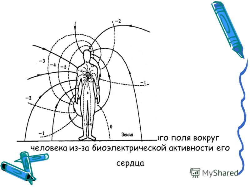 3 поле человека. Электрическое поле человека. Биоэлектрическое поле человека. Схема электрического поля сердца. Распределение электрического поля.