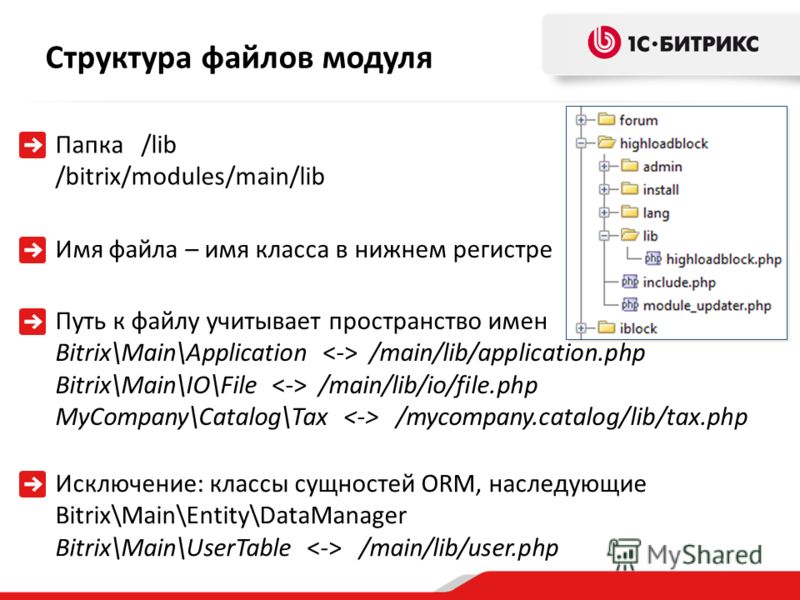 Файл описания. Структура файла. Структура файлов сайта. Разделы файла-модуля. Структура папок сайта html.