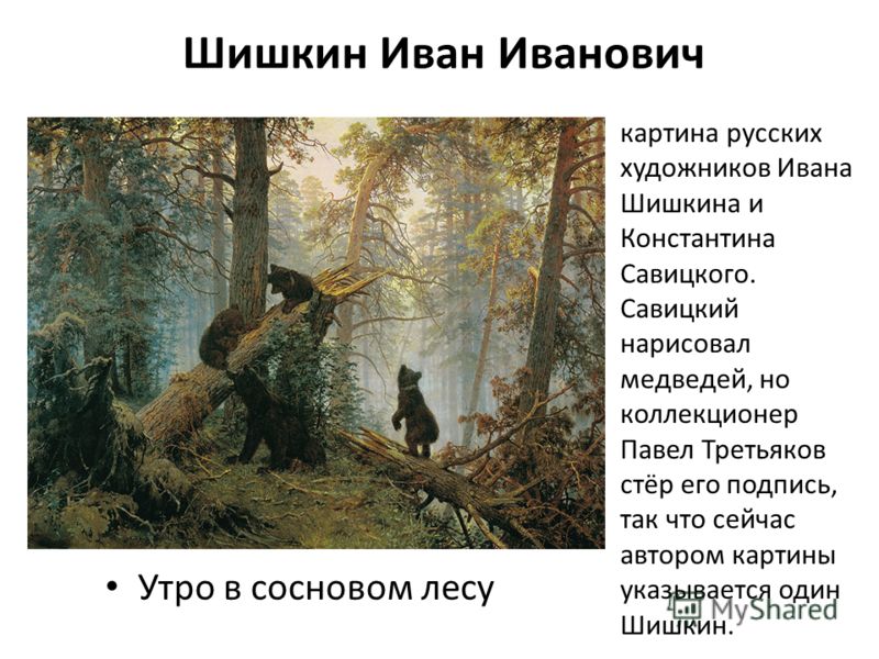 Истории картин шишкина. Шишкин художник утро в Сосновом лесу. Шишкин Савицкий утро в Сосновом лесу.