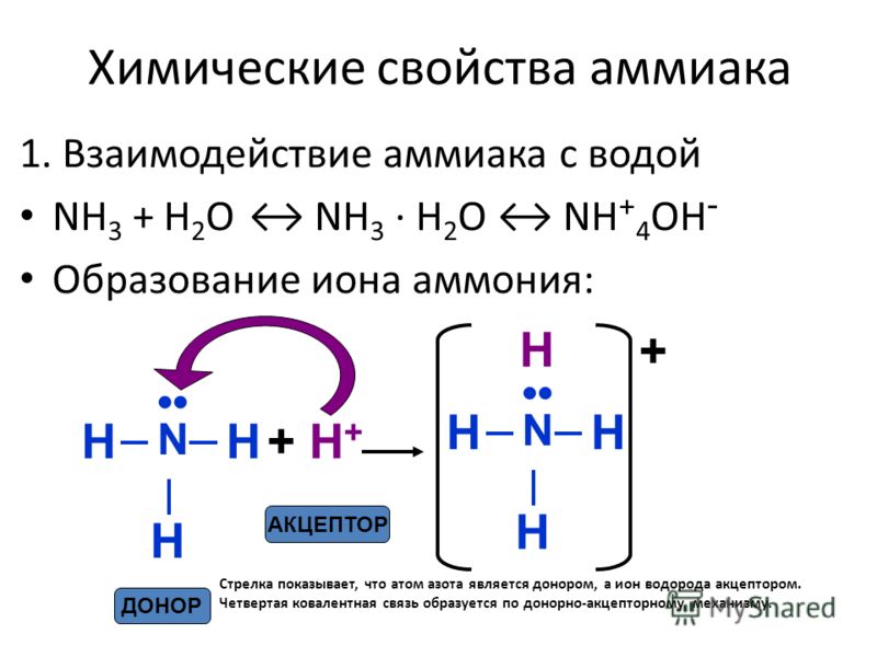 Тип химической связи в катионе аммония. Nh3 химические реакции. Реакция аммиака с водой. Химические реакции аммиака. Химические соединения аммиак.