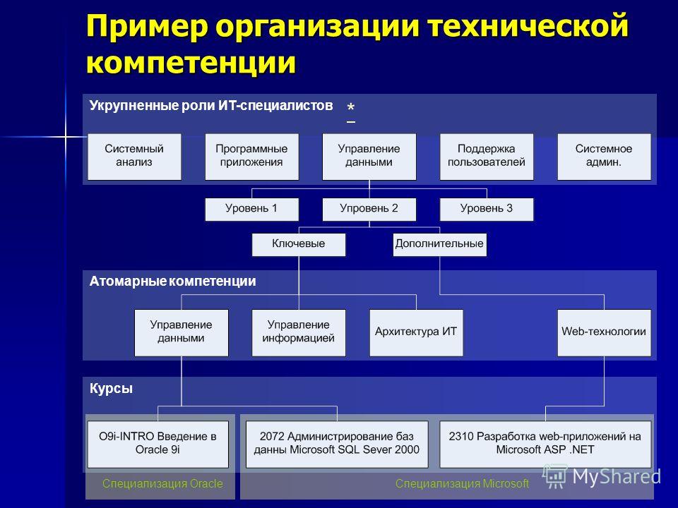 Техническое юридическое лицо. Техническая организация пример организации. Примеры предприятий. Организации примеры. Организационные пример.