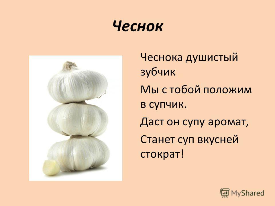 Чеснок проверочное