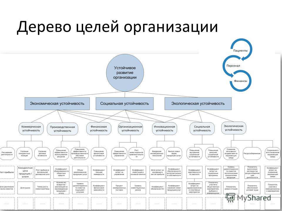 Проект организации на примере организации