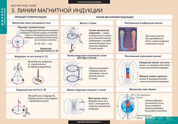 Интеллект карта по физике 8 класс магнитное поле