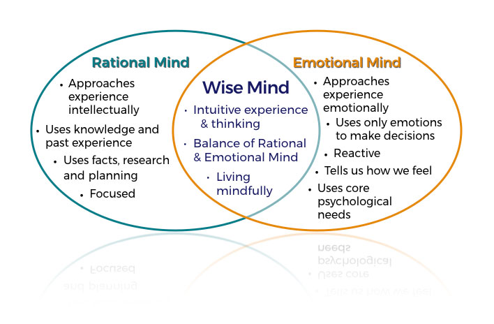 Mind перевод на русский. Wise Mind. Rational Emotional. Предложения с Mind. Wise курсы.