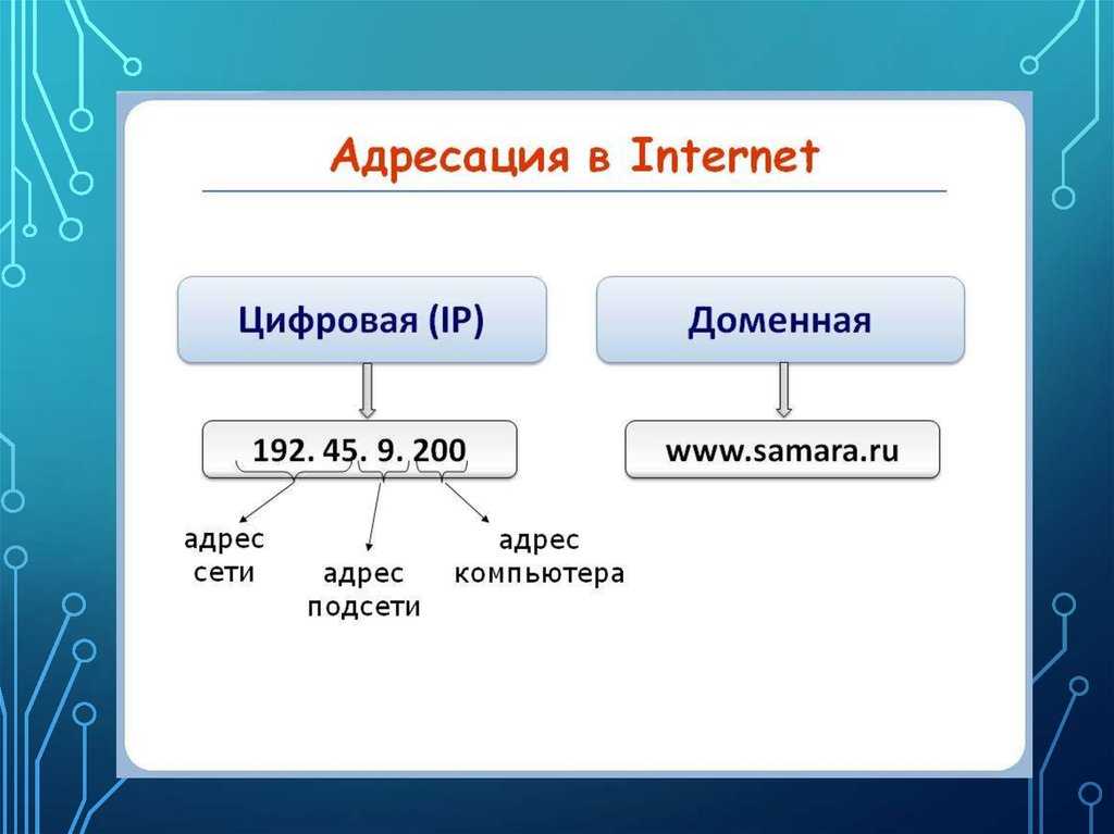 Чем отличаются домены. IP адрес состоит из. Что такое IP адрес и доменный адрес. Адресация в сети Internet. Из чего состоит IP адрес.