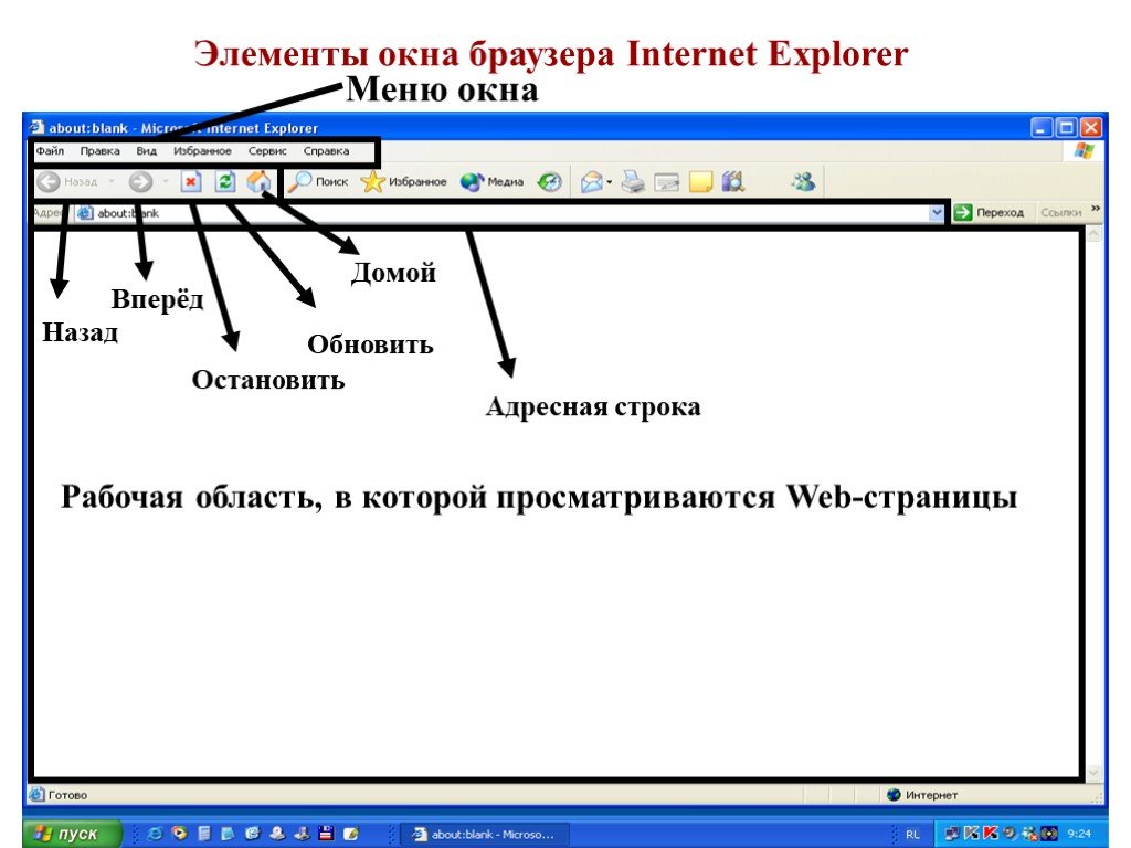 Устройство браузера. Окно браузера Internet Explorer. Название элементов окна браузера. Элементы окна Internet Explorer. Элементы браузера.