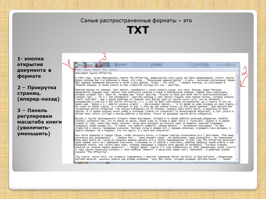 Txt формат программа. Txt Формат. Txt Формат документа. Формат txt как выглядит. Распространенные Форматы электронных книг.