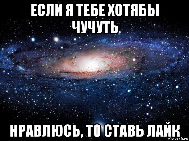 Нравится ставить. Если я тебе нравлюсь. Если я тебе нравлюсь ставь. Если я тебе нравлюсь ставь лайк. Если я тебе нравлюсь то поставь лайк.