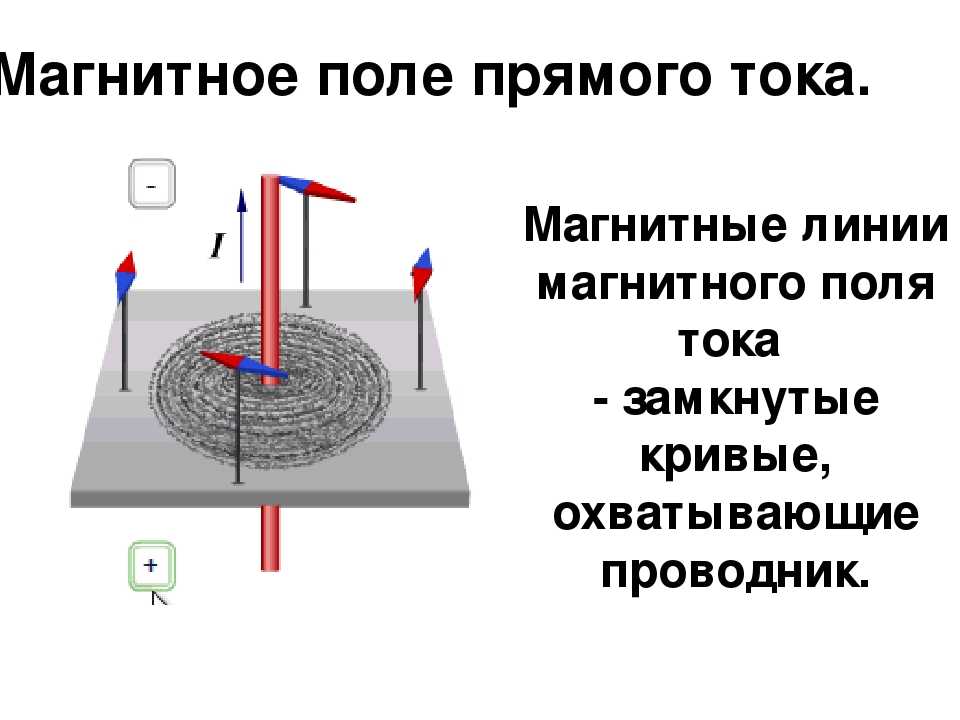 Магнитное поле магнитного круга. Магнитное поле магнитное поле прямого тока. Магнитное поле. Магнитное поле прямого тока. Магнитные линии.. Линии магнитного поля проводника с током. Магнитное поле прямого проводника с током.