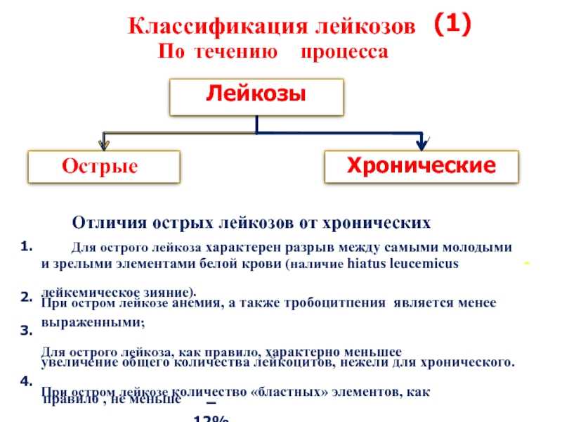 Про лейкемию. Этиология острого лейкоза кратко. Отличие острого лейкоза от хронического. Отличительный признак острого лейкоза. Классификация хронических лейкозов патанатомия.