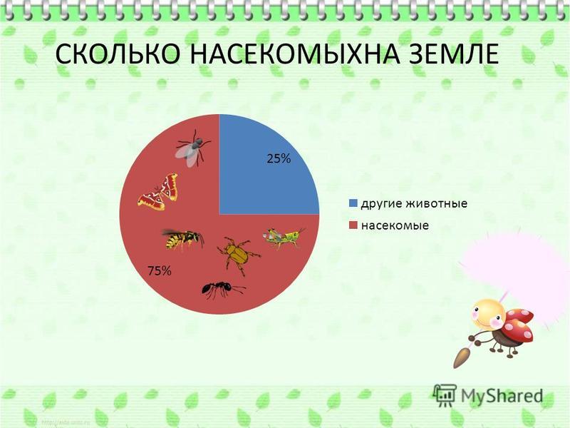 Сколько животных на земле. Численность насекомых. Численность насекомых на планете. Насекомые диаграмма. Сколько насекомых на земле количество.