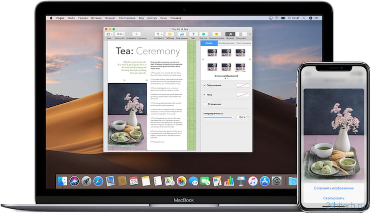 Как на iPhone и iPad копировать, вырезать и вставлять текст, фото и ссылки: все способы