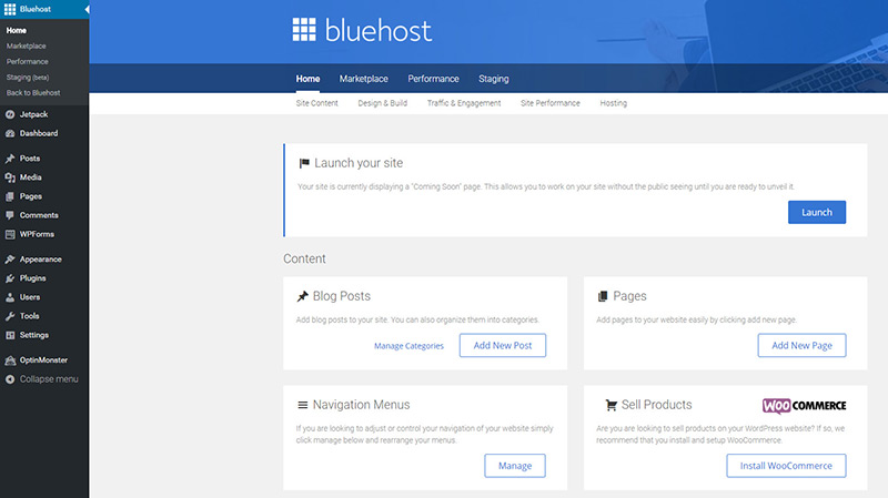 bluehost mojo plugin launch website live
