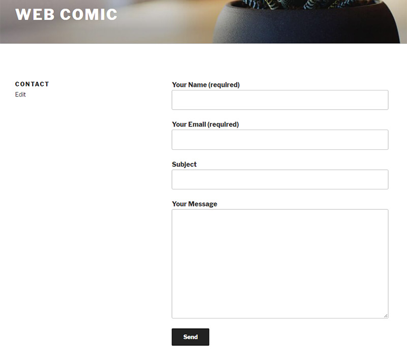 contact form preview