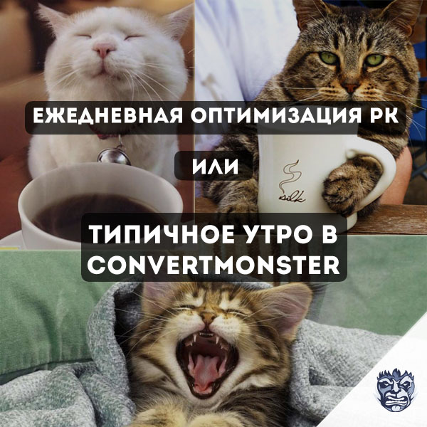 Оптимизация РК convertmonster