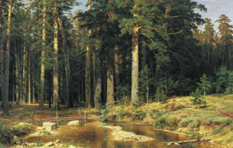 «Царь леса»: великий русский художник И. И. Шишкин, фото № 14