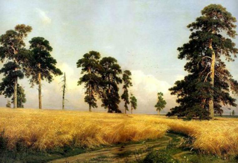 «Царь леса»: великий русский художник И. И. Шишкин, фото № 9